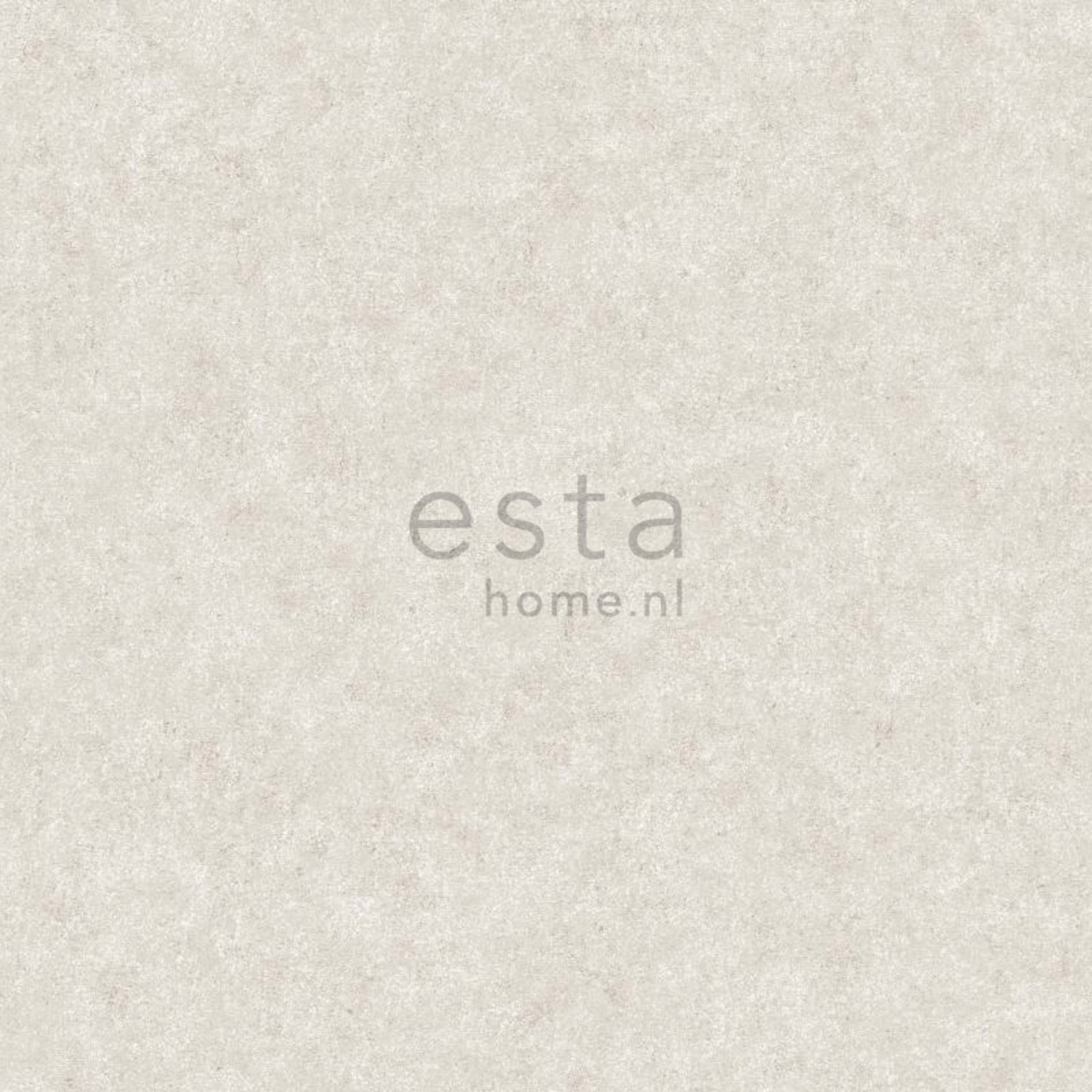 Graubeige Vliestapete, Beton, Stuck, 138232, Vintage Flowers, Esta Home