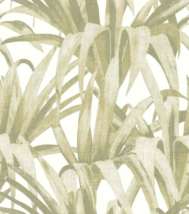 Vliestapete, grün, Blätter, 15525, Botany House, Cristiana Masi by Parato