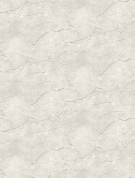 Vlies-Fototapete, grau-beige, Marmor, FW4060-1, Feature Walls, Decoprint