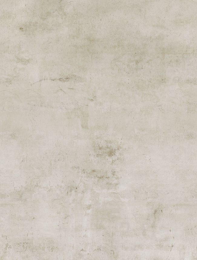 Vlies-Fototapete, beige, Beton, FW4050-1, Feature Walls, Decoprint