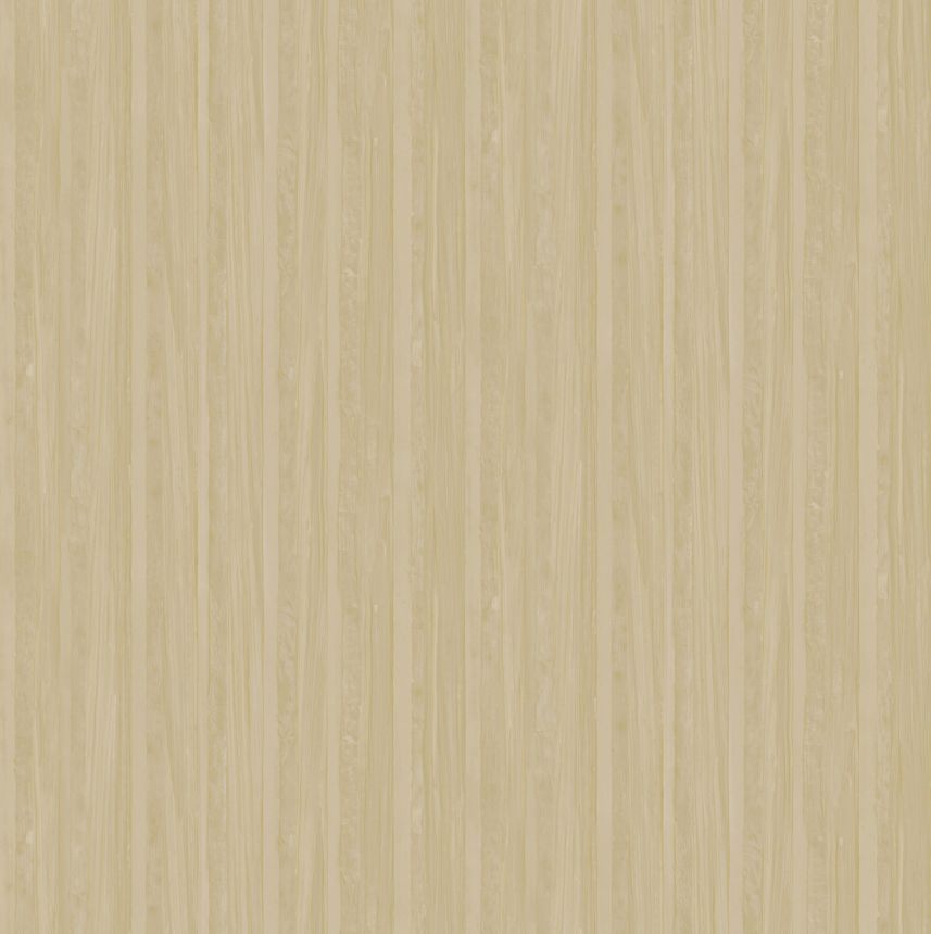 Luxuriöse Vliestapete, beige, Textur, Z57703, Architexture 2,  Zambaiti Parati