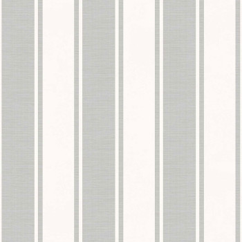 Vliestapete, grau-silber, Streifen, 23671, The Best Classic & Elegant, Cristiana Masi by Parato