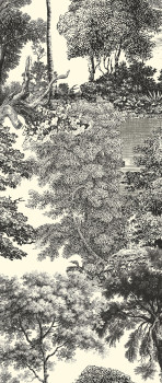 Fototapete, schwarz, Wald, Bäume, DGSAL1014-300, Amazone, Masureel