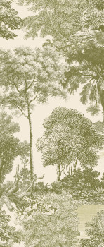 Fototapete, grün, Wald, Bäume, DGSAL1032-300, Amazone, Masureel