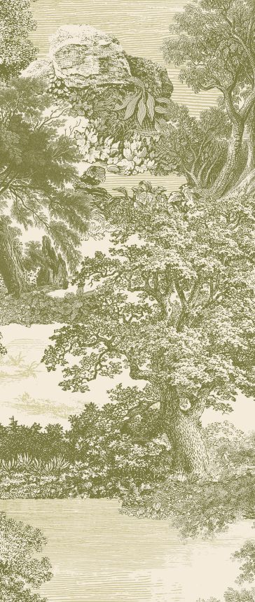 Fototapete, grün, Wald, Bäume, DGSAL1033-260, Amazone, Masureel