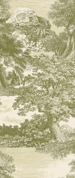 Fototapete, grün, Wald, Bäume, DGSAL1033-260, Amazone, Masureel