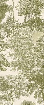 Fototapete, grün, Wald, Bäume, DGSAL1034-300, Amazone, Masureel
