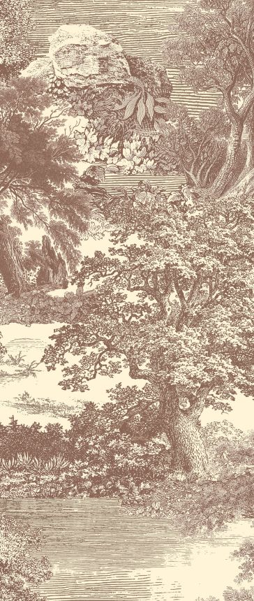 Fototapete, braun, Wald, Bäume, DGSAL1043-260, Amazone, Masureel