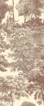 Fototapete, braun, Wald, Bäume, DGSAL1044-260, Amazone, Masureel