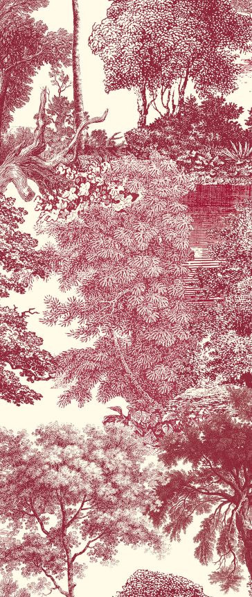 Fototapete, rot, Wald, Bäume, DGSAL1054-260, Amazone, Masureel