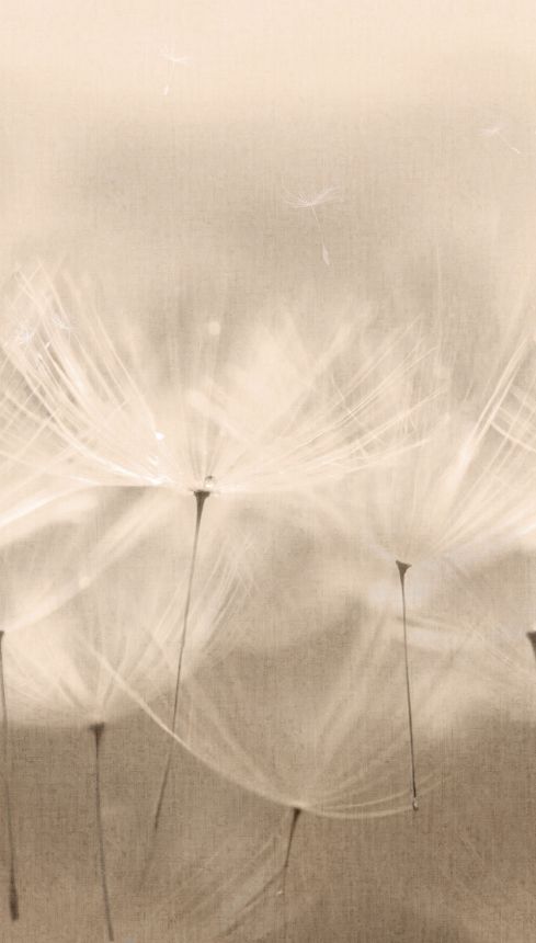 Fototapete, Pusteblumen, 203801, One roll, one motif 2, Grandeco