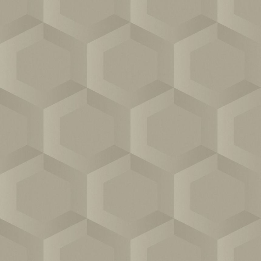 Tapete, beige, Hexagone, 348019, 3D Reflections, Origin