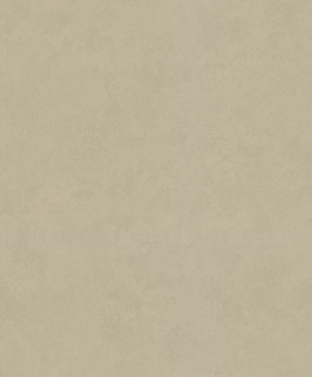 Tapete, Braun-Beige, Stuck, Beton, 34629, Terra, Marburg