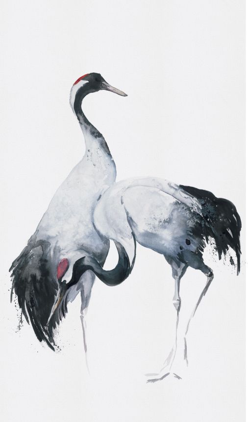 Fototapete, Vögel, Reiher, 34596, Kumano, Marburg