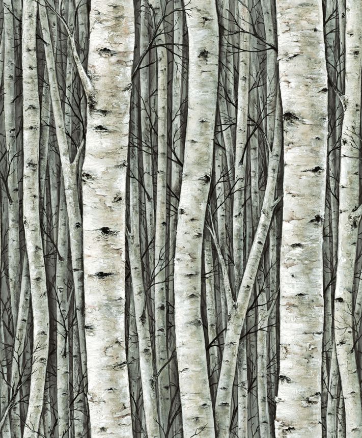 Tapete, grün, Bäume, Birkenhain, 35380, Timber, Marburg