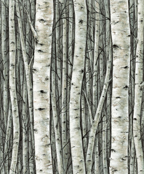 Tapete, grün, Bäume, Birkenhain, 35380, Timber, Marburg