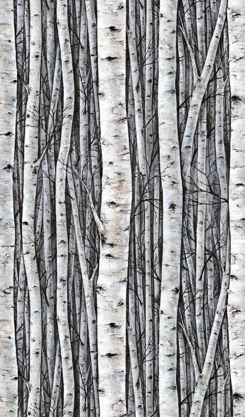Bildtapete, grau-blau, Bäume, Birkenhain, 35395, Timber, Marburg