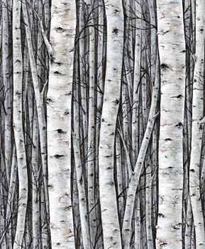 Tapete, grau-blau, Bäume, Birkenhain, 35397, Timber, Marburg