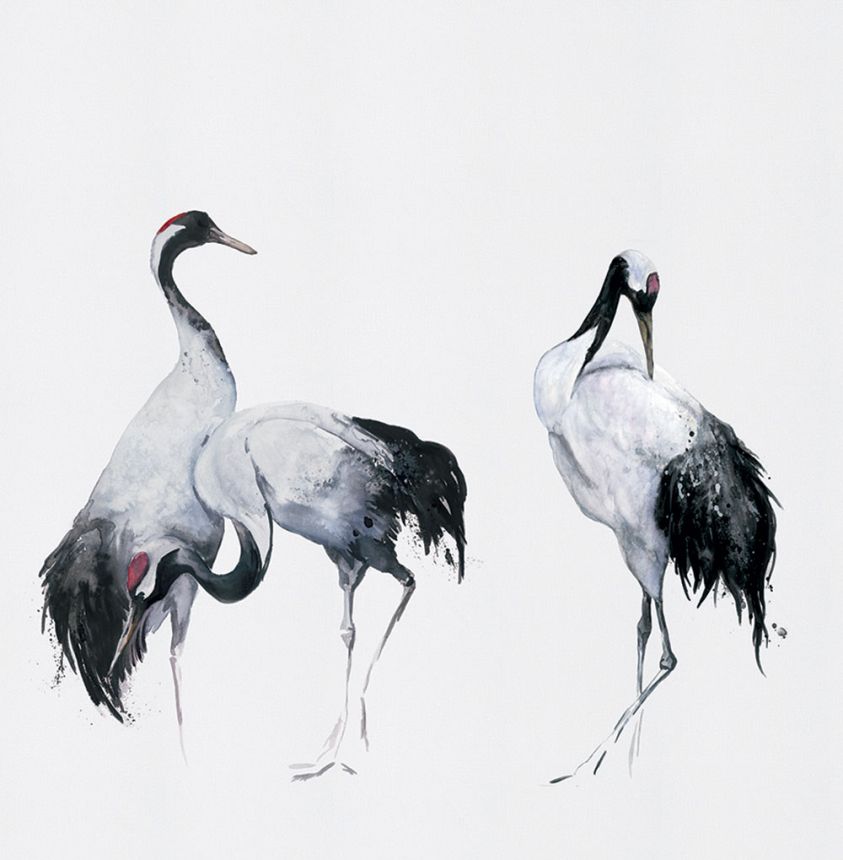 Fototapete, Vögel, Reiher, 34593, Kumano, Marburg