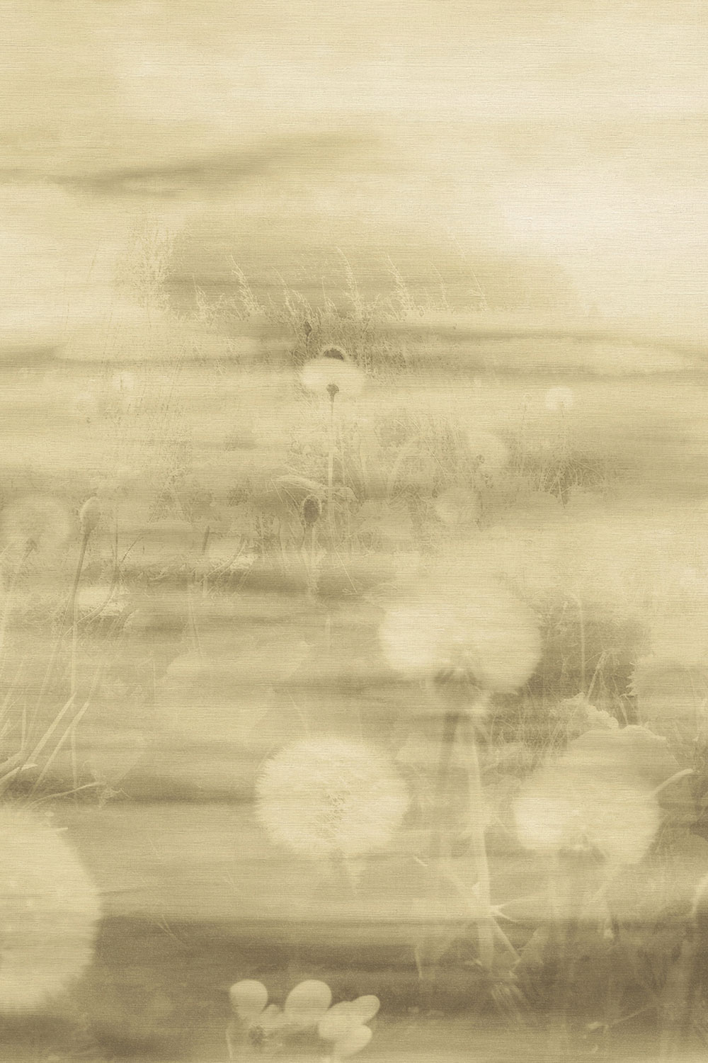 Fototapete, Landschaft, 73899, Tendenze, Emiliana Parati