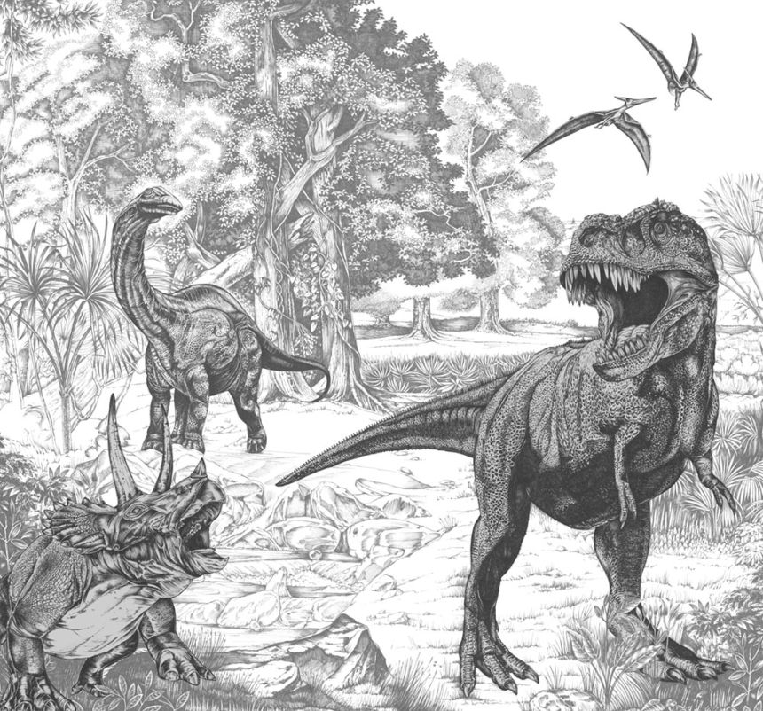 Kinder-Fototapete Dinosaurier, Vlies Tapete Wandbilder, 111396, Dino Sketch 300 x 280 cm, Kids@Home 6, Graham & Brown