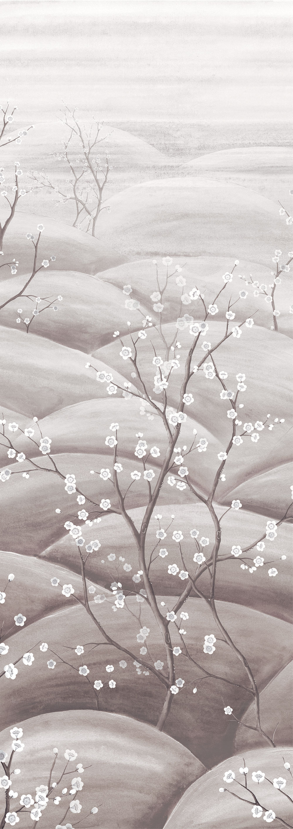 Fototapete, grau, weiß, blühende Sakura-Zweige, DGTRA5033-300, Traces, Masureel
