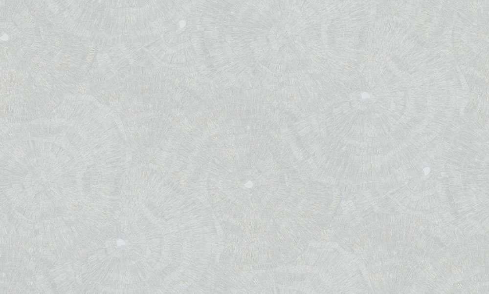Tapete, silber, grau, Muster, 6626, Metamorphosis, Parato by Cristiana Masi