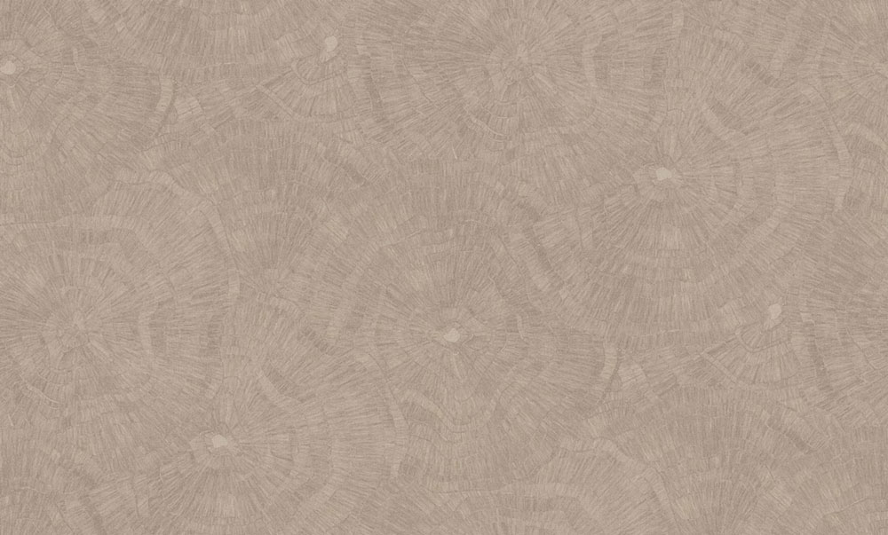Tapete, grau, braun, Muster, 6639, Metamorphosis, Parato by Cristiana Masi