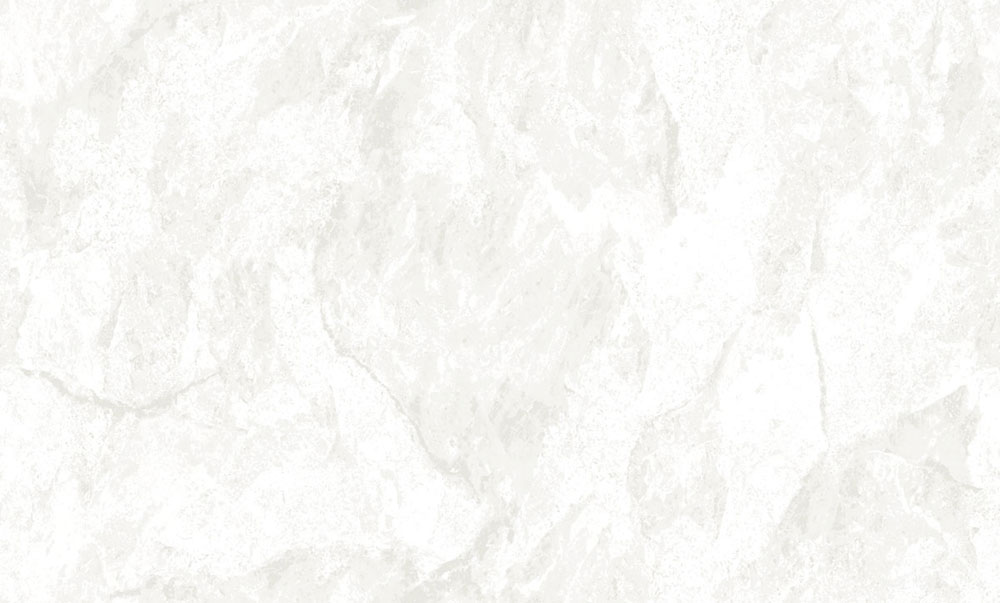 Tapete, silber, weiß, Stuckoptik, 6646, Metamorphosis, Pigmenta, Parato by Cristiana Masi
