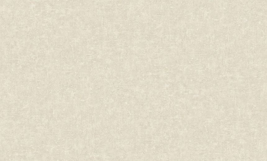 Tapete, grau-beige, Putzoptik, CO1202, Concept, Grandeco