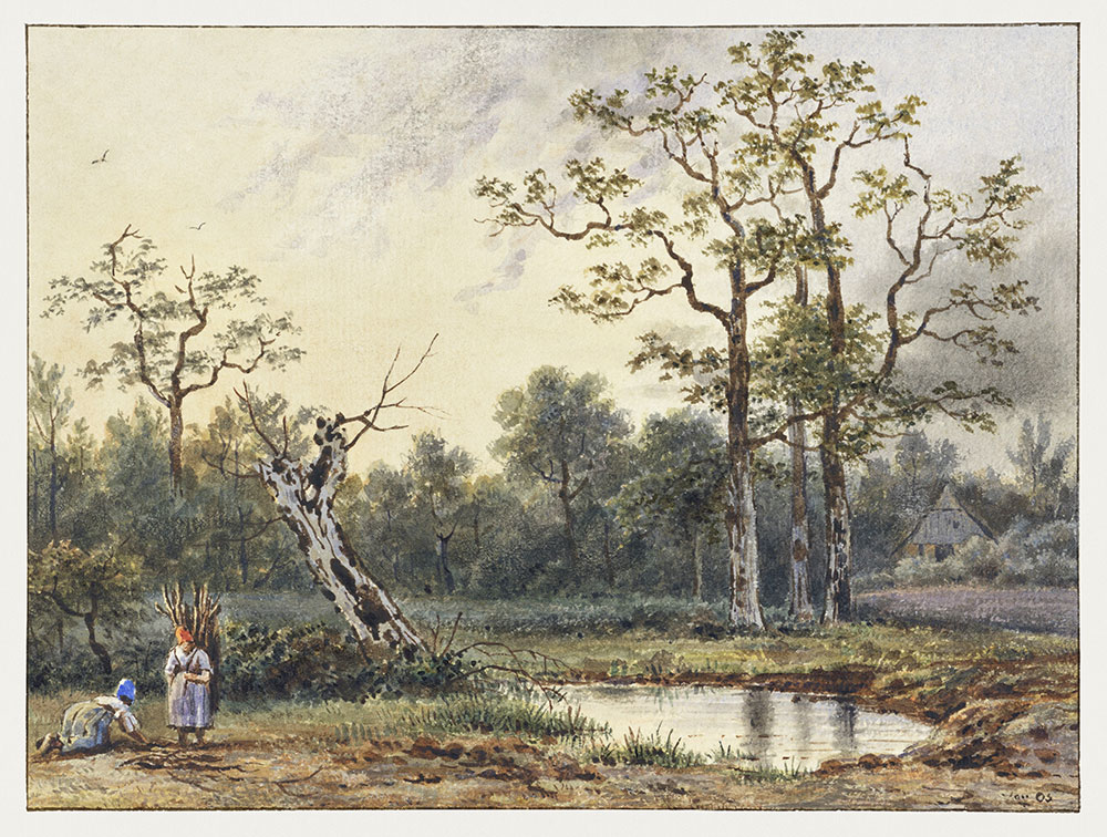 Fototapeten nach Maß, Waldhütte, 10208, Vavex