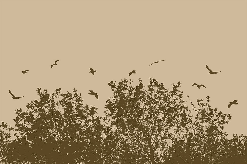 Fototapeten nach Maß, Vögel über dem Wald, 10224, Vavex