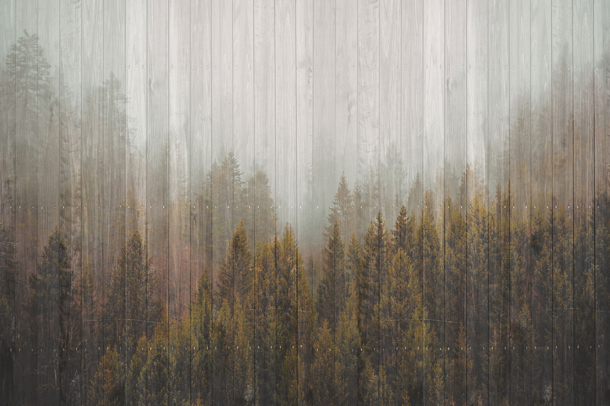 Fototapete nach Maß, Holzzaun, Wald, Bäume, 10229, Vavex