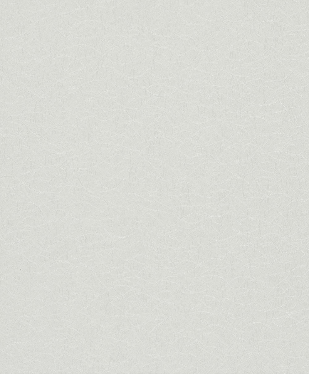 Strukturtapete, grau-silber, S 82283, Pia, Novamur 