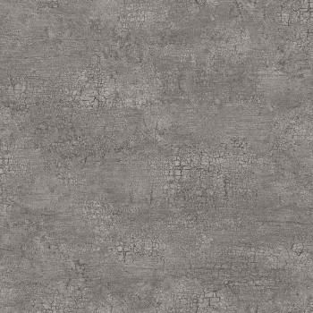 Dunkelgraue Vliestapete für die Wand mit Risseffekt 347566, Matières - Stone, Origin