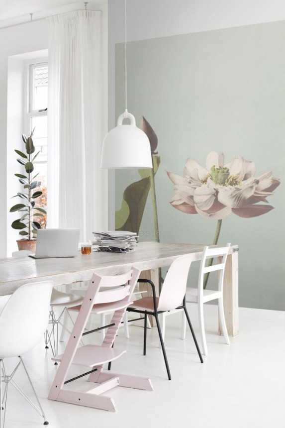 Fototapete, Seerose Blume, Tapete Wandbilder 158890, 186 x 279 cm, Blush, Esta Home