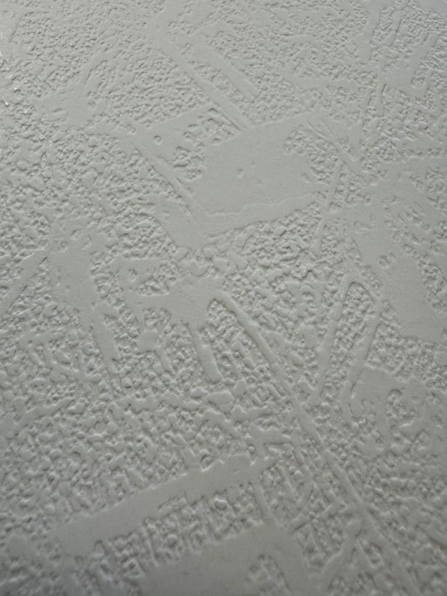 Papiertapete für die Wand, Imitation Putz 2001700 Old Friends II, Vavex 2025